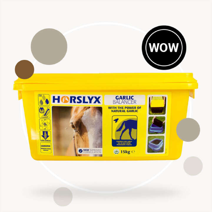 Highlight Horslyx 800x800